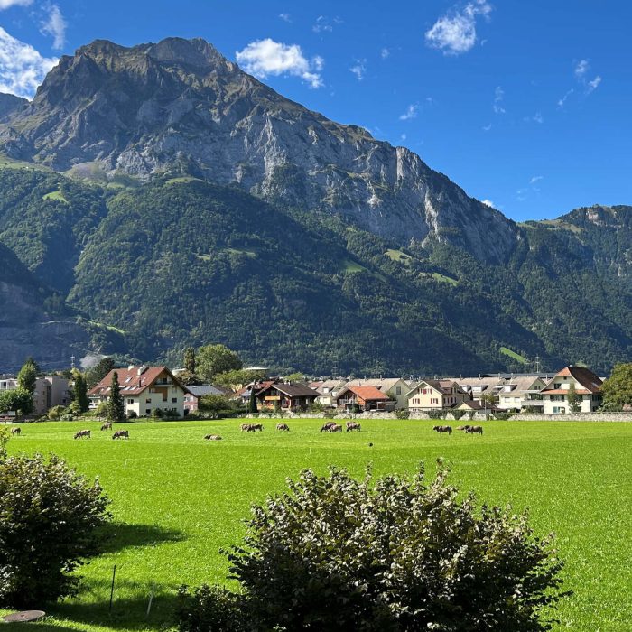 6.5 Zimmerwohnung Bahnhofstrasse 48, Altdorf 3 Eigentumswohnung, Immobilie Uri, Wohnung, Stockwerkeigentum, Immobilie mit Aussicht, Familienwohnung