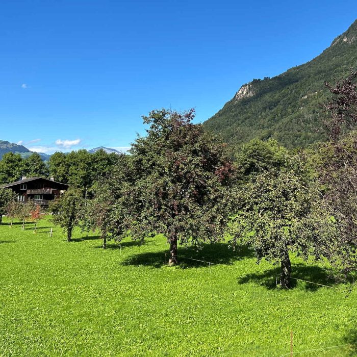 6.5 Zimmerwohnung Bahnhofstrasse 48, Altdorf 10 Eigentumswohnung, Immobilie Uri, Wohnung, Stockwerkeigentum, Immobilie mit Aussicht, Familienwohnung