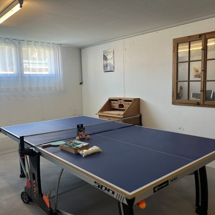 Mietwohnung Seedorf, Gartenwohnung, mieten, Immobilien