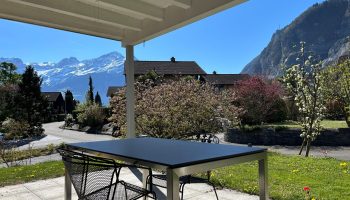 Mietwohnung Seedorf, Gartenwohnung, mieten, Immobilien