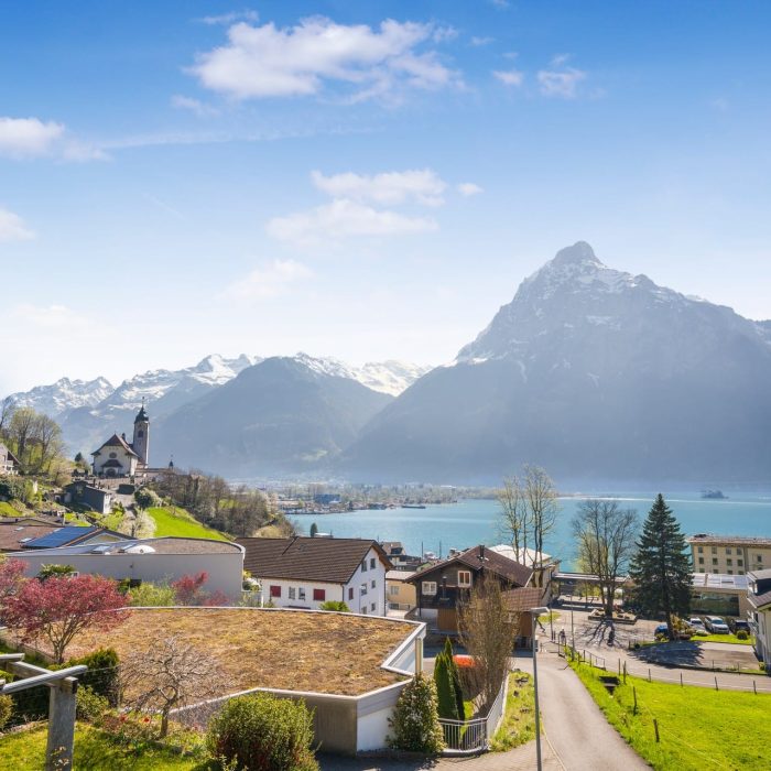 Einfamilienhaus, Wohnen mit Aussicht, Immobilie Uri, Flüelen